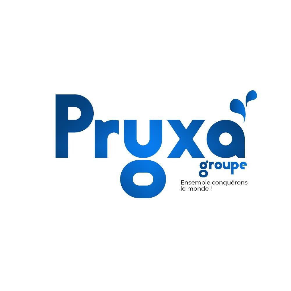 Logo PRYXA Groupe